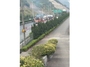 甬台温施工现场